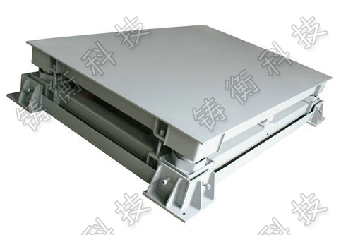 電子平臺(tái)秤